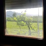 샬레 Kujavnk 크란
